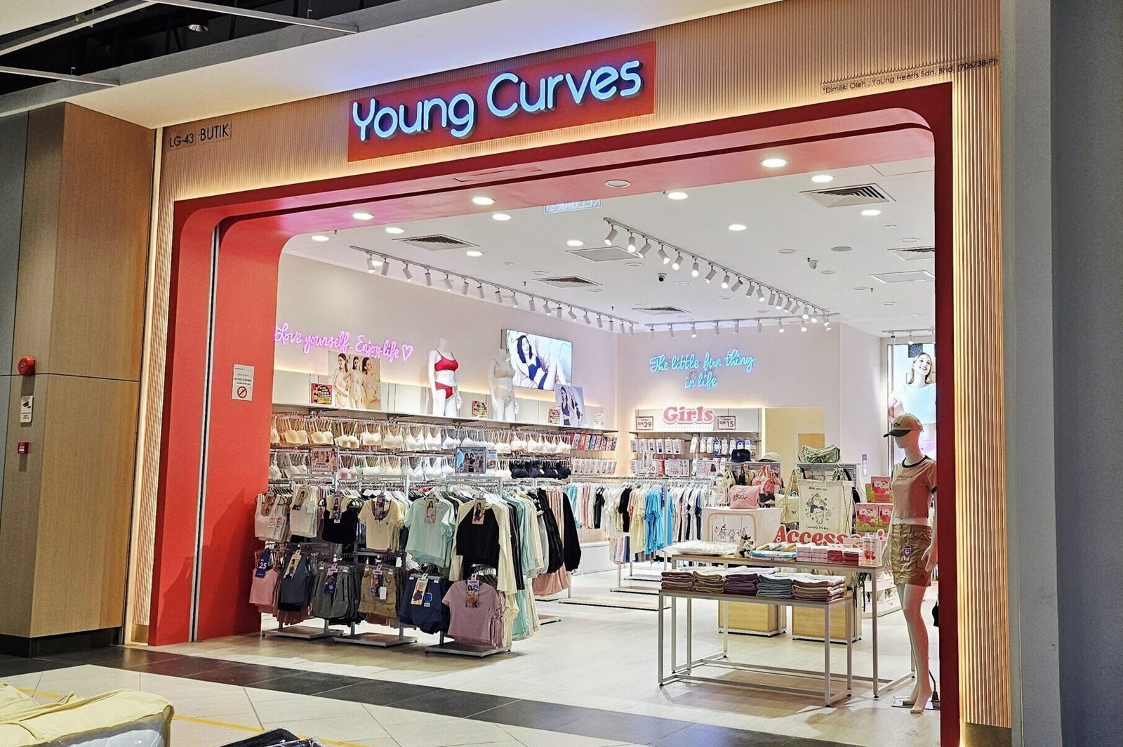 Young Curves